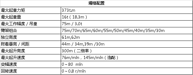 T7530-16H平頭塔式起重機(jī)1.png